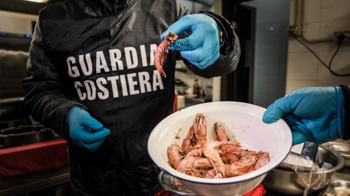 controlli ittici guardia costiera