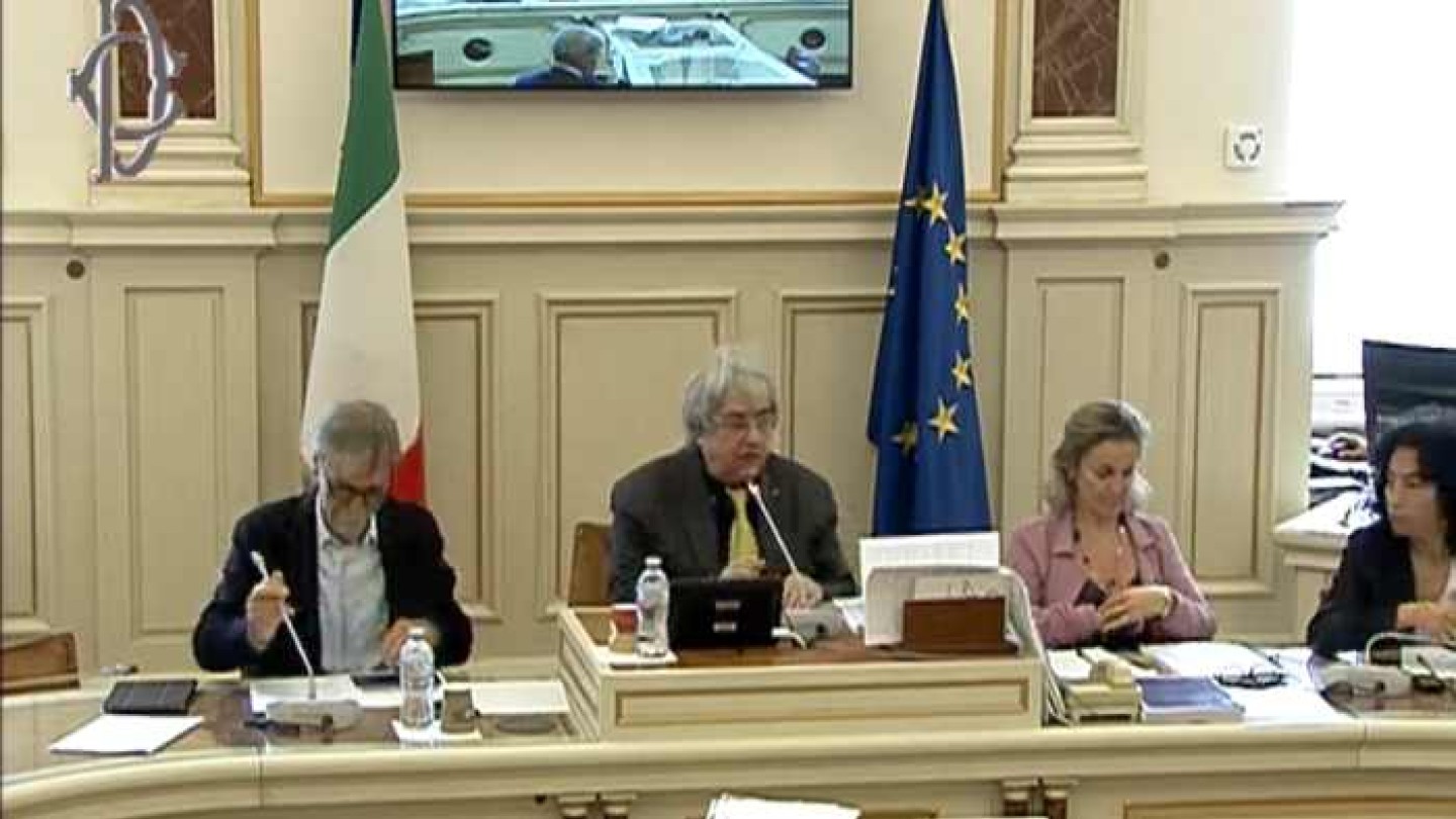 Audizione Delrio Camera