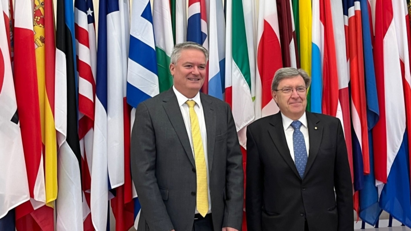 Ministro Giovannini OCSE