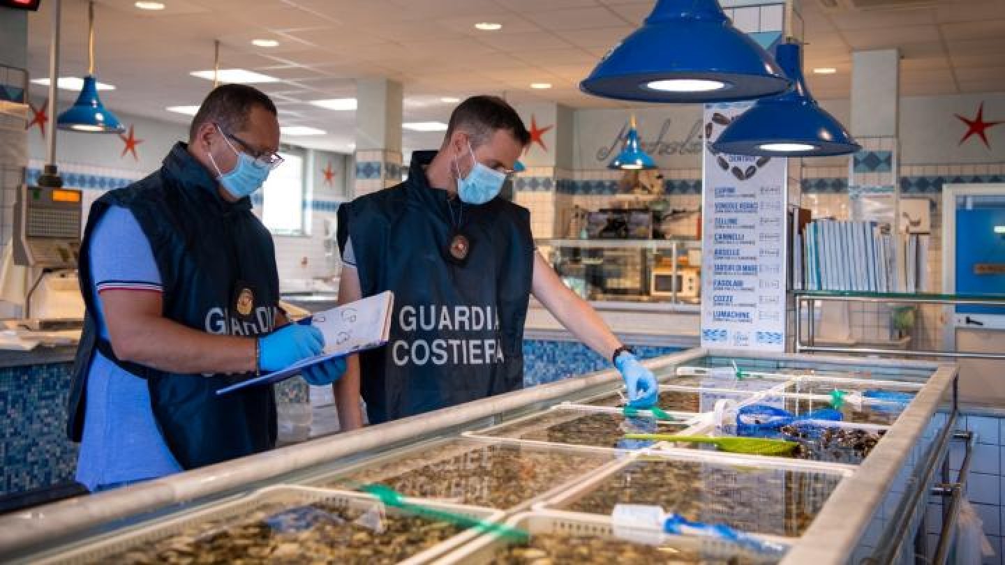 controlli ittici guardia costiera