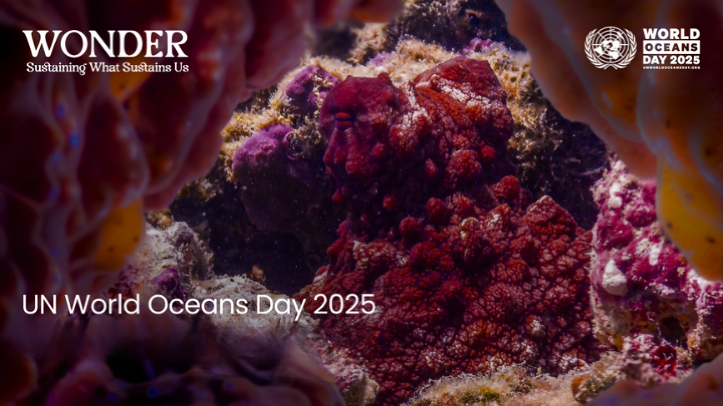 Grafica per la Giornata Mondiale degli Oceani 2025 delle Nazioni Unite