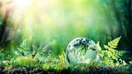 Giornata mondiale dell'Ambiente 2021